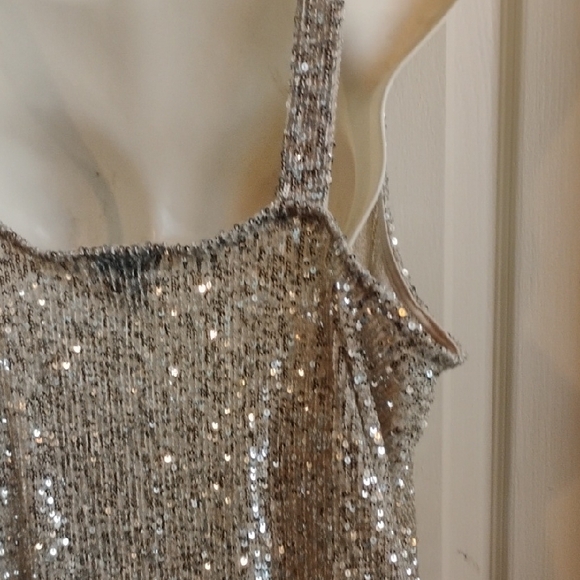 Daytrip Silver Sequin Tank Top - Picture 13 of 15